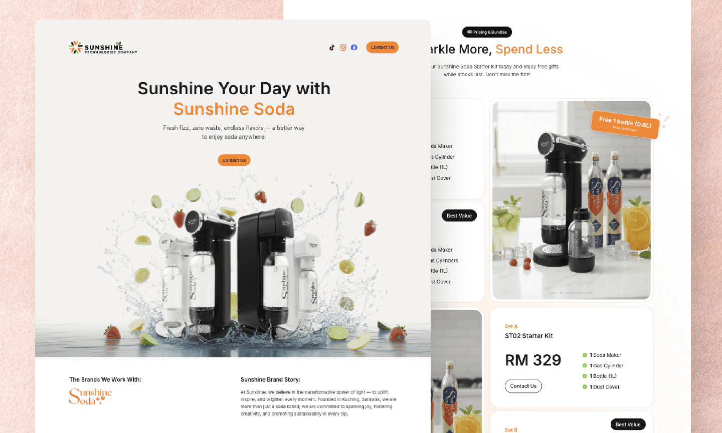 Figure 1: Sunshine Technologies - brand website